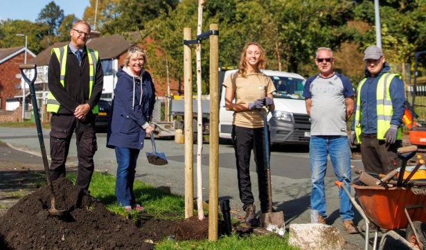 A group of people planting trees